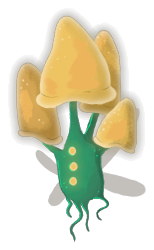 Flyconid