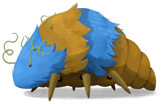 Louse Progenitor