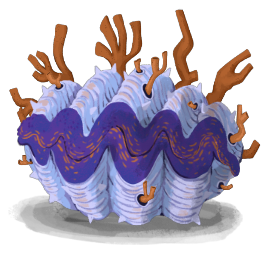 Sewer Clam