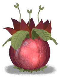 Snapping Jaxfruit